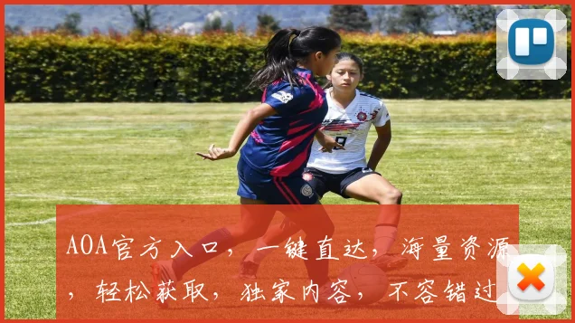 AOA官方入口，一键直达，海量资源，轻松获取，独家内容，不容错过，体验非凡