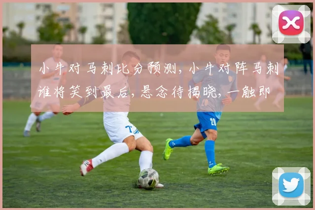 小牛对马刺比分预测,小牛对阵马刺谁将笑到最后,悬念待揭晓,一触即发
