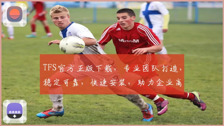 TFS官方正版下载，专业团队打造，稳定可靠，快速安装，助力企业高效协作，不容错过，立即下载