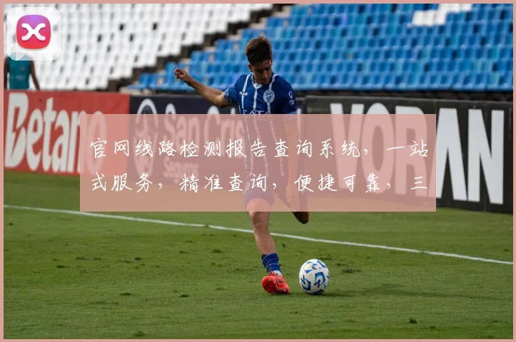官网线路检测报告查询系统，一站式服务，精准查询，便捷可靠，三步完成。