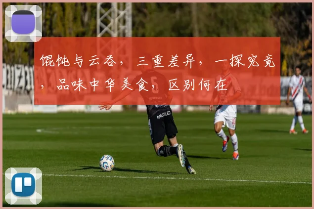 馄饨与云吞，三重差异，一探究竟，品味中华美食，区别何在