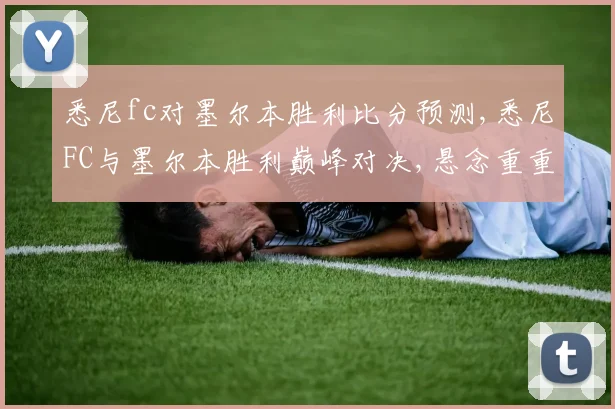 悉尼fc对墨尔本胜利比分预测,悉尼FC与墨尔本胜利巅峰对决,悬念重重,拭目以待